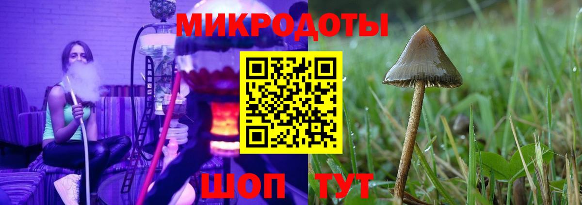 Карачаевск  Галлюциногенные грибы мицелий  Псилоцибиновые грибы GOLDEN TEACHER  Вход с VPN 