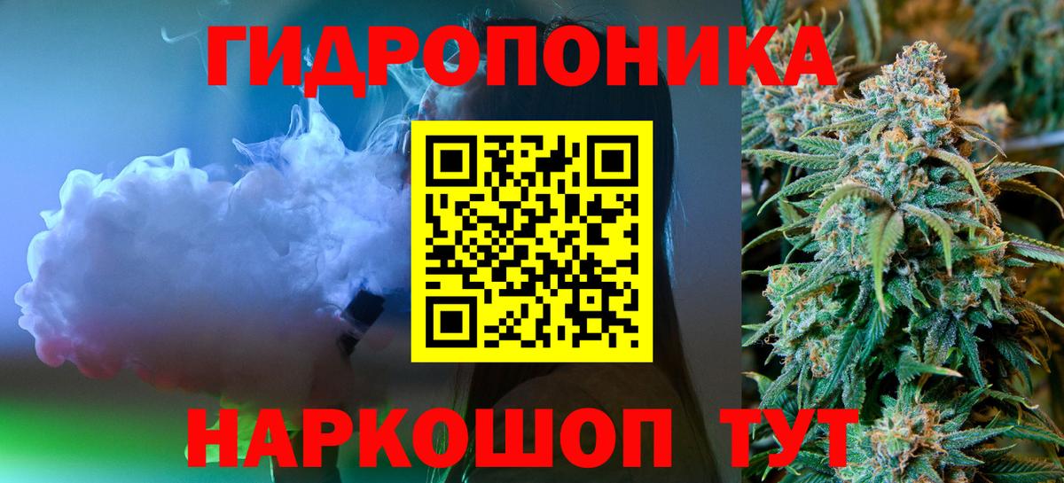 Марихуана сатива Карачаевск